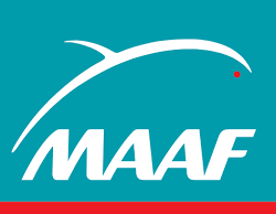 logo maaf